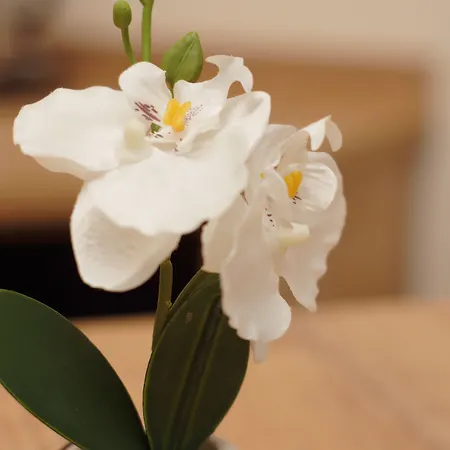 Otel Der Marienhof Garni